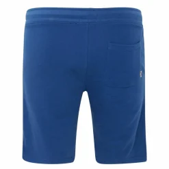 Blend Herre Shorts Plus Size - Navy Peony