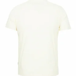 Blend Herre T-shirt Plus Size - White bear