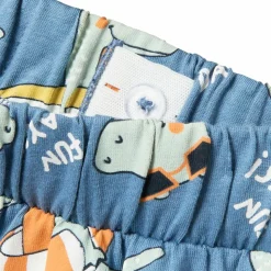 Guppy Hardy Drenge Shorts - Coronet Blue