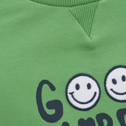 Minymo Drenge Sweatshirt - Peppermint