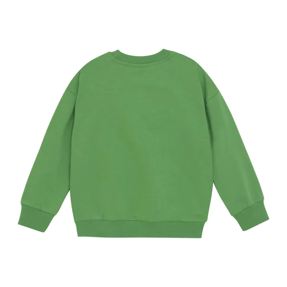 Minymo Drenge Sweatshirt - Peppermint