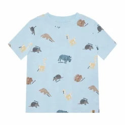 Minymo Drenge T-shirt i økologisk bomuld - Niagara Mist